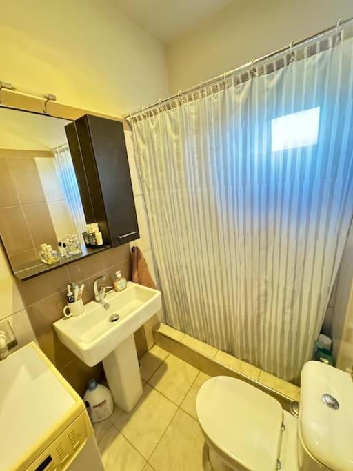 Sofias House Apartment Trikala  Exterior photo